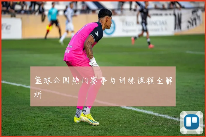篮球公园热门赛事与训练课程全解析